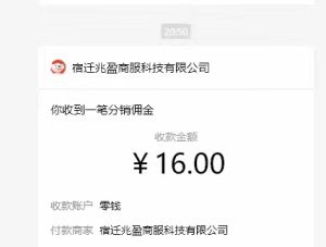 图片[6]-京东支付1分得16元实操到账200-起飞项目网